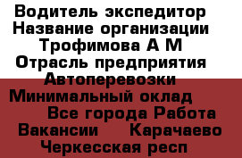 Водитель-экспедитор › Название организации ­ Трофимова А.М › Отрасль предприятия ­ Автоперевозки › Минимальный оклад ­ 65 000 - Все города Работа » Вакансии   . Карачаево-Черкесская респ.
